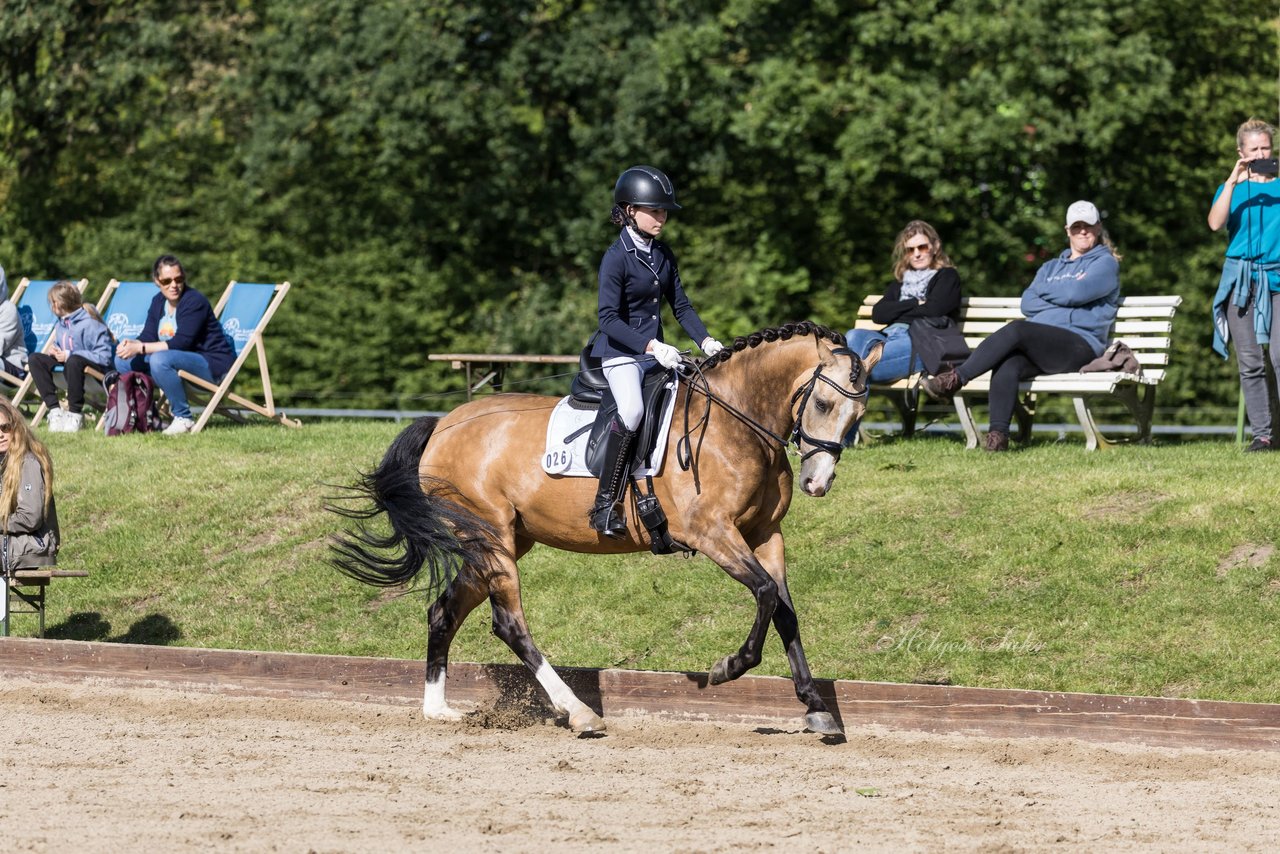 Bild 528 - Pony Akademie Turnier
